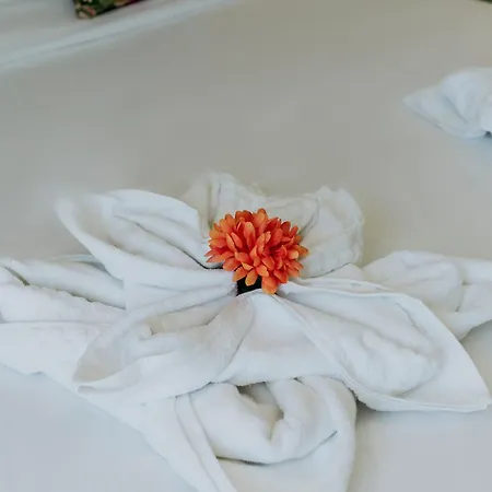 Hotel King Charles Boutique